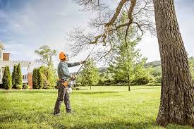 Best Tree and Shrub Care  in Thiells, NY